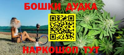 сатива Славгород