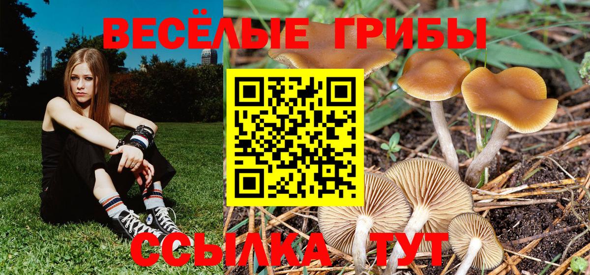 Cocaine  Вход с VPN  Экстази  Павлово  ГАШИШ  Мефедрон кристаллы  Канабис  А ПВП СК  